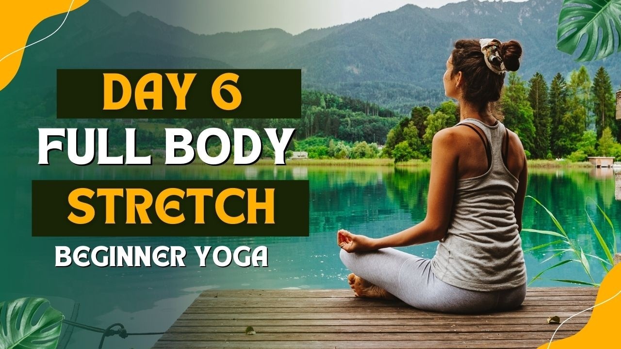 Day 6 Flexibility for Beginners | Full Body Stretch Routine |