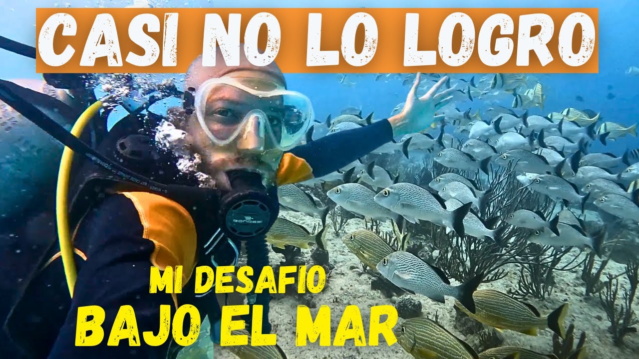 Si QUIERES BUCEAR por PRIMERA VEZ tienes que VER ESTE VIDEO! Mi experiencia BUCEANDO en el CARIBE!