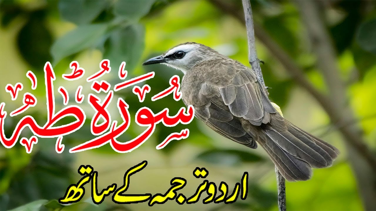 Surah Taha Urdu Tarjuma K Sath | Surah Taha With Urdu Translation | Best Ever Quran Recitation