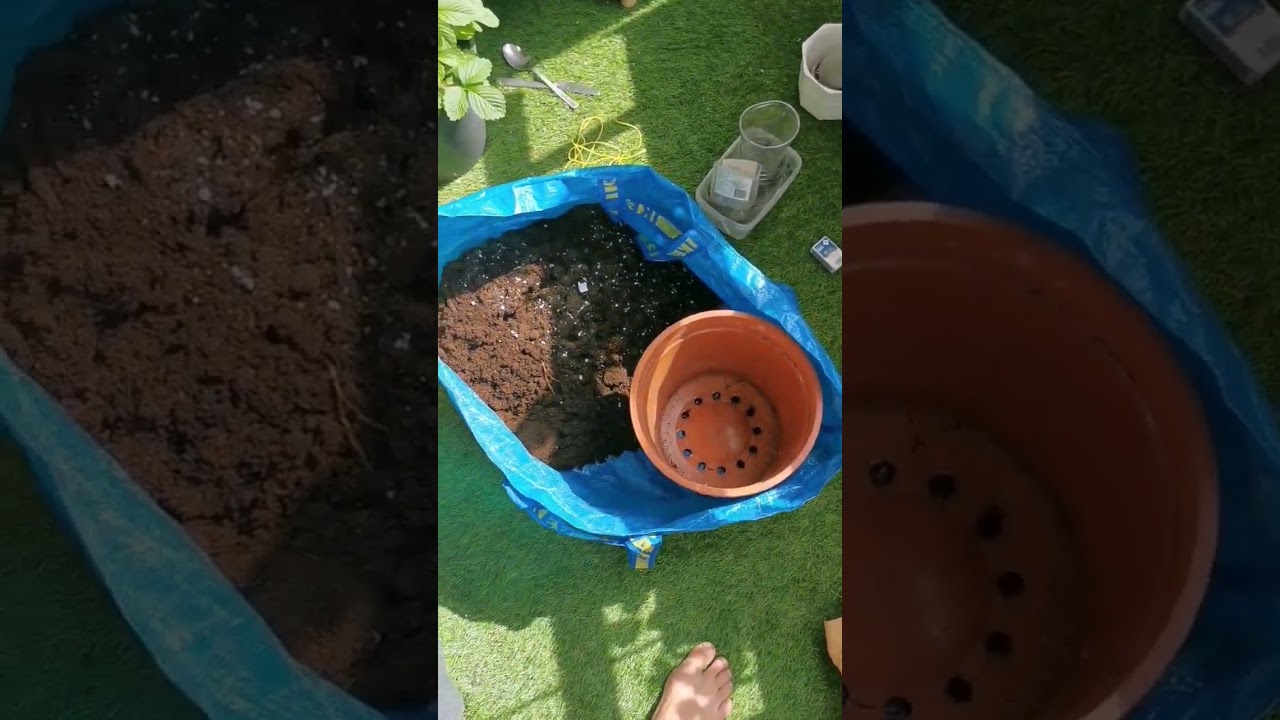 how i (try) to keep my balcony clean while playing outside