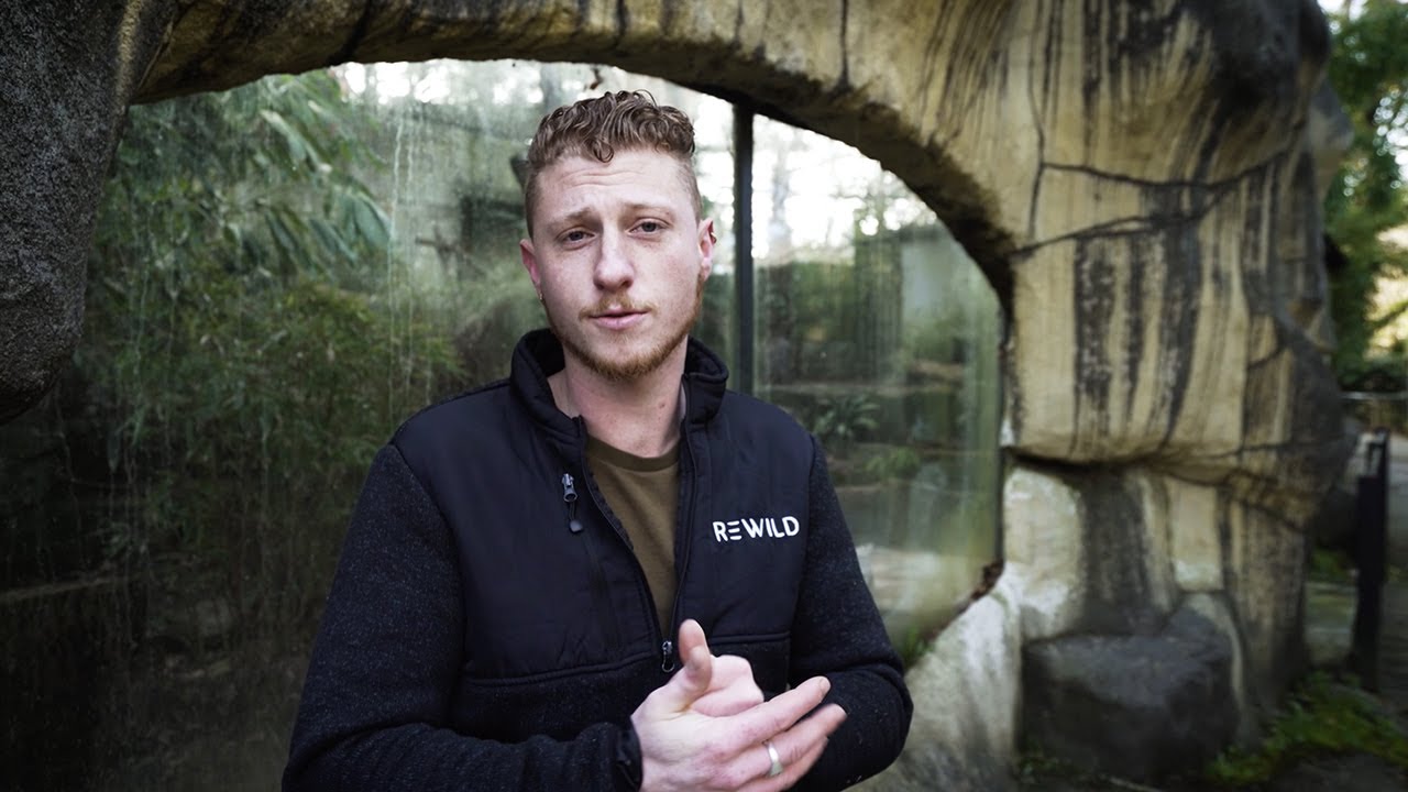 #InsideRewild Ep. 1 - Une Journée avec Loick, Soigneur Animalier