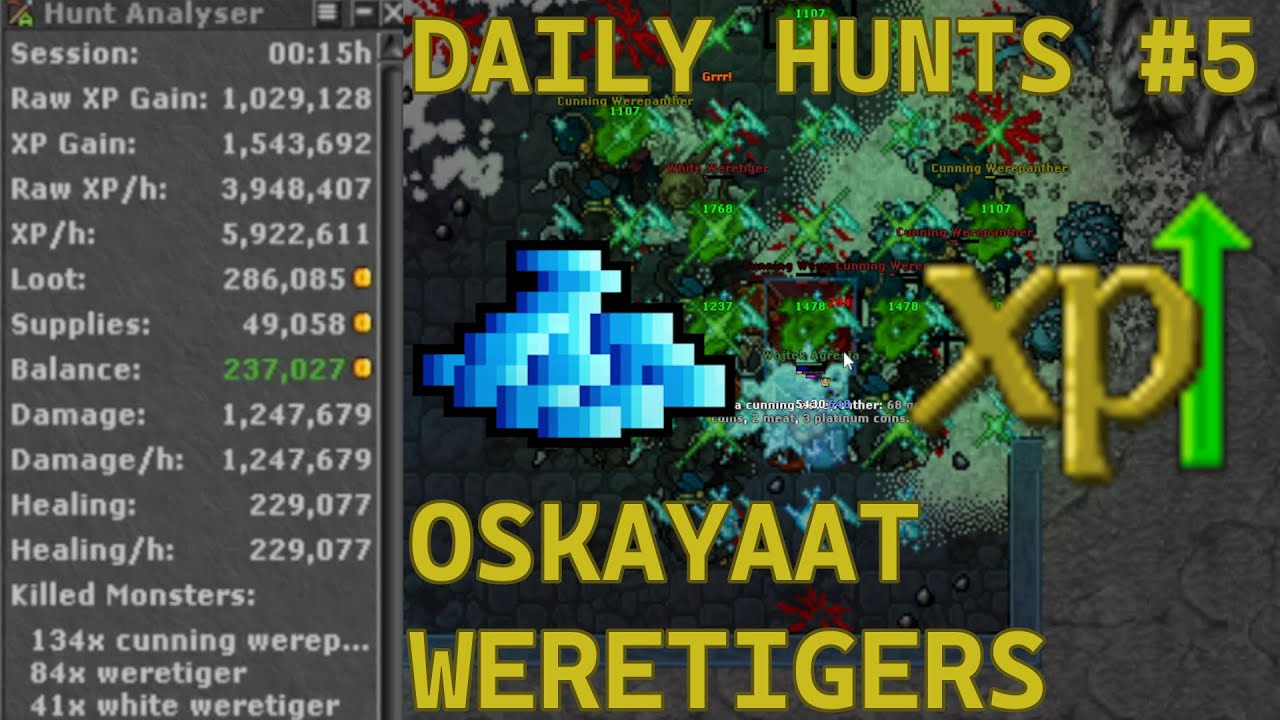 Tibia | Monk 430 | Oskayaat Weretigers | Daily Hunt #5