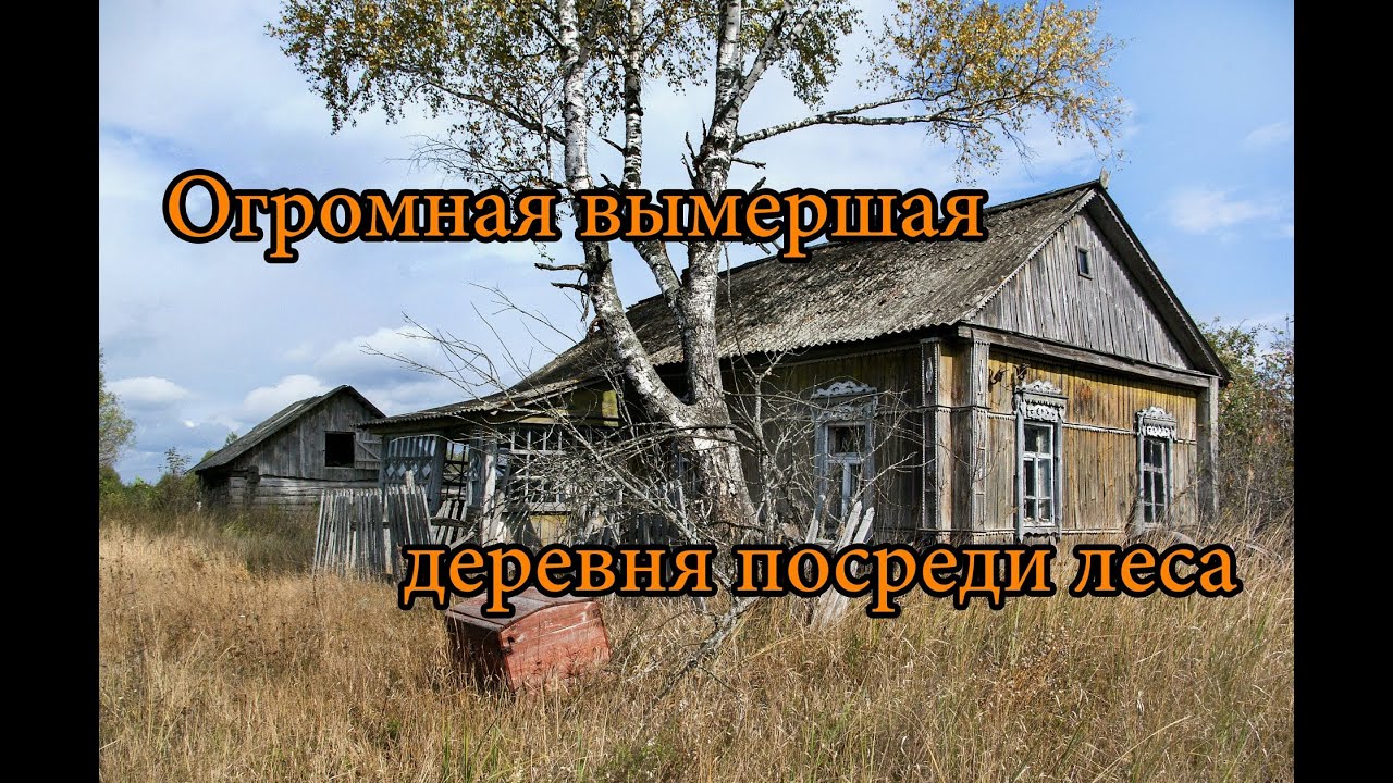 ОГРОМНАЯ ЗАБРОШЕННАЯ ДЕРЕВНЯ ПОСРЕДИ ЛЕСА
