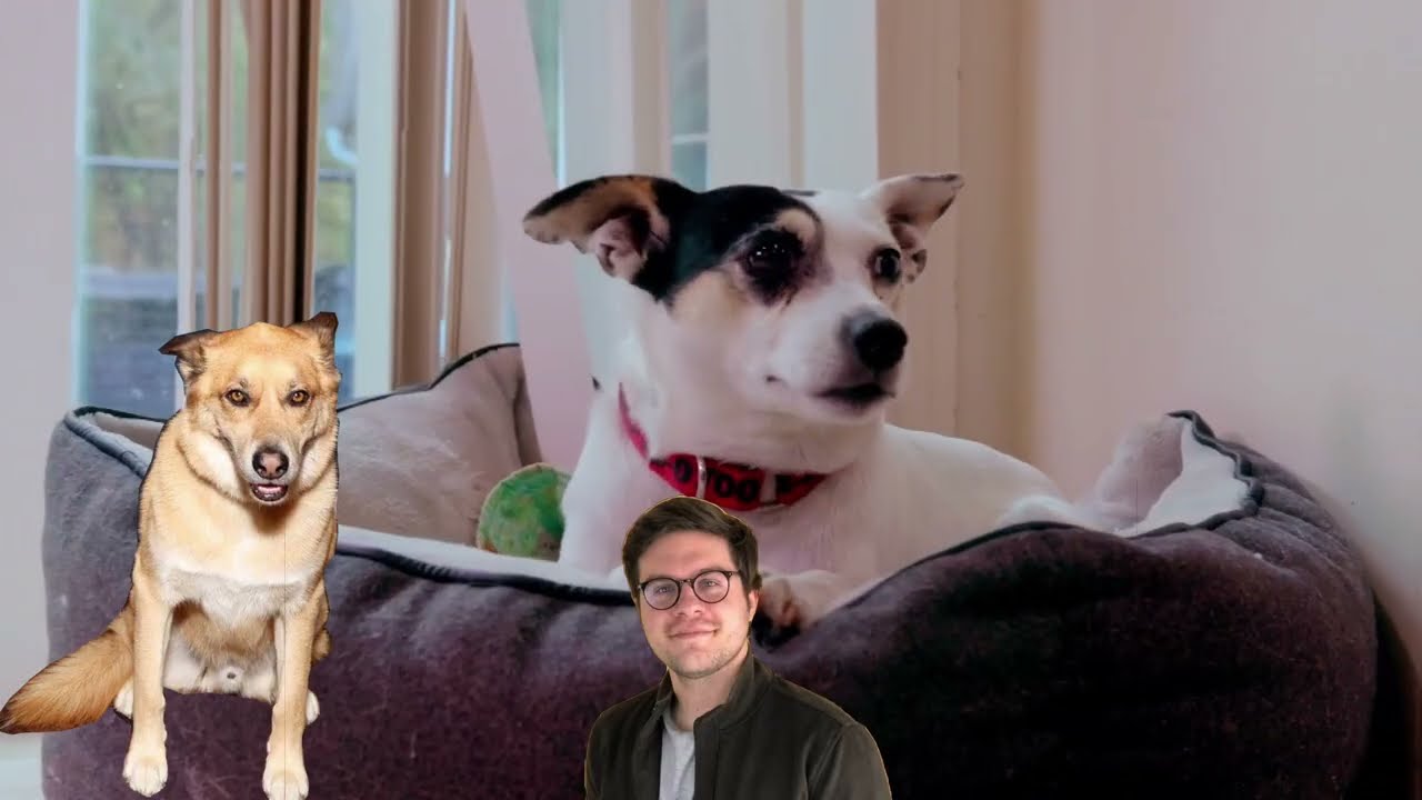 Teaser Freezers with Bosch - Hollywood Handbook