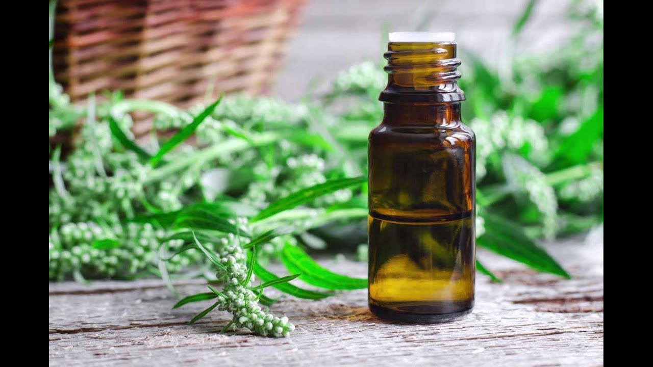 cannabis minutes episode 5: What does Full Spectrum mean?