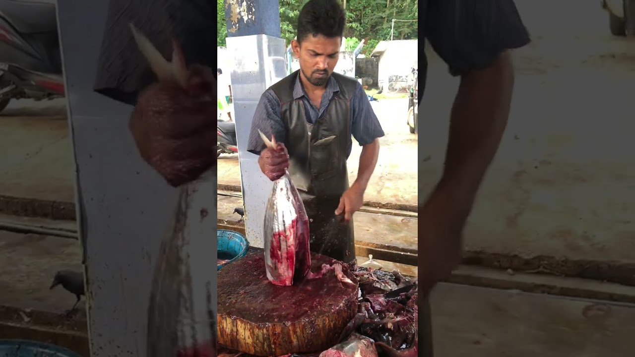 BLOOD TUNA CUTTING SKILLS #fishmarket #shorts #fishcutting_video