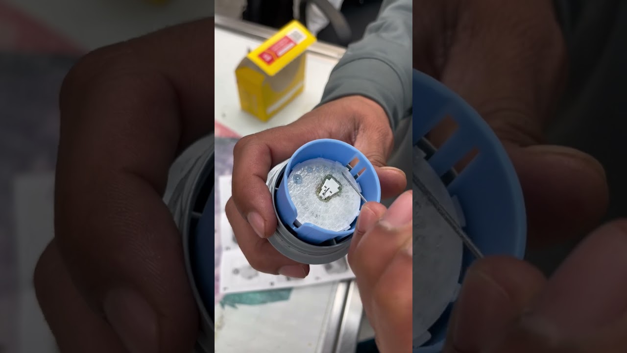How to apply a FreeStyle Libre to a dog or cat for diabetic monitoring