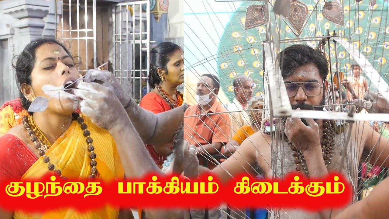 திருவல்லிக்கேனி முருகன் கோயில், பங்குனி உத்திரம் 2022 சிறப்பு தரிசனம்!