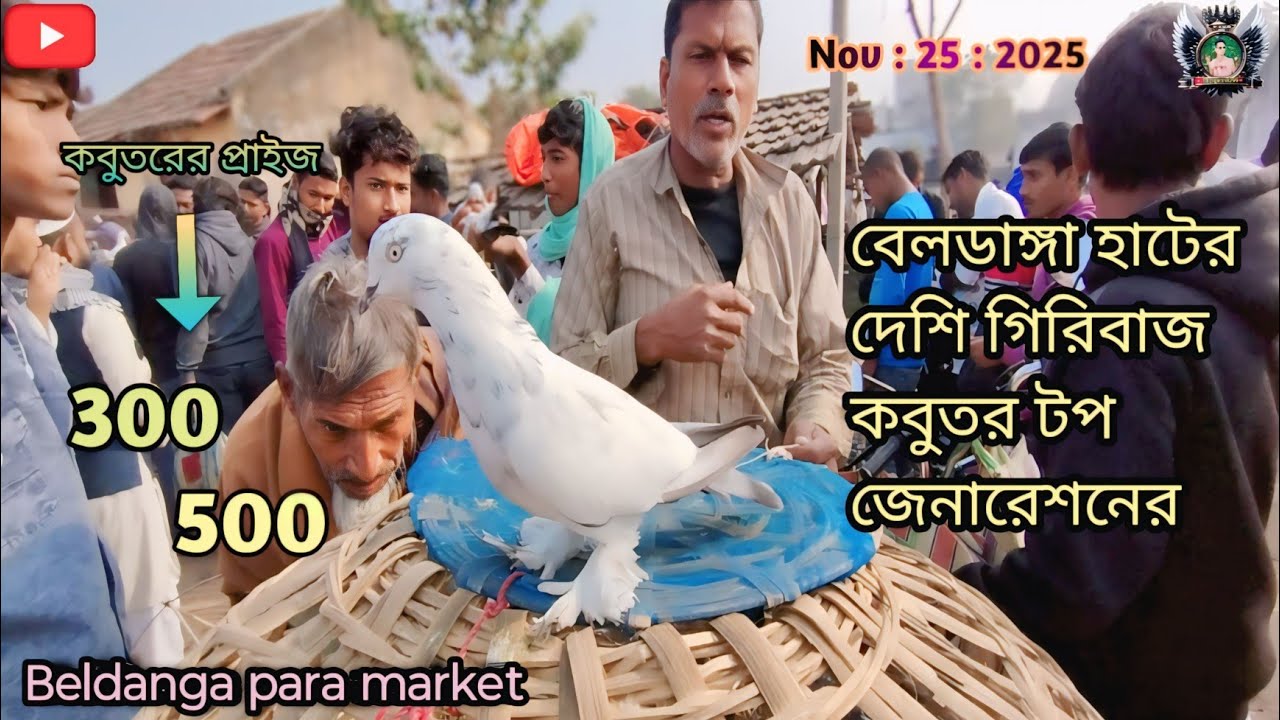 মুর্শিদাবাদে বেলডাঙ্গা হাটের কবুতর Beldanga kabutar market 🥰👍#kabutar #pigeon #like #ispigeon8299 