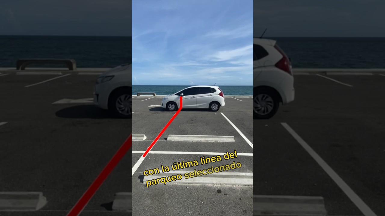 C&oacute;mo estacionar en reversa f&aacute;cil.