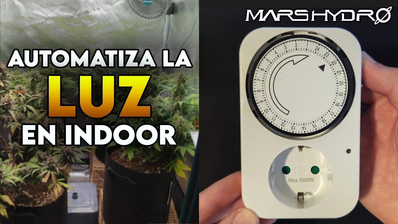 C&oacute;mo usar un temporizador anal&oacute;gico para tu cultivo indoor | Gu&iacute;a f&aacute;cil paso a paso