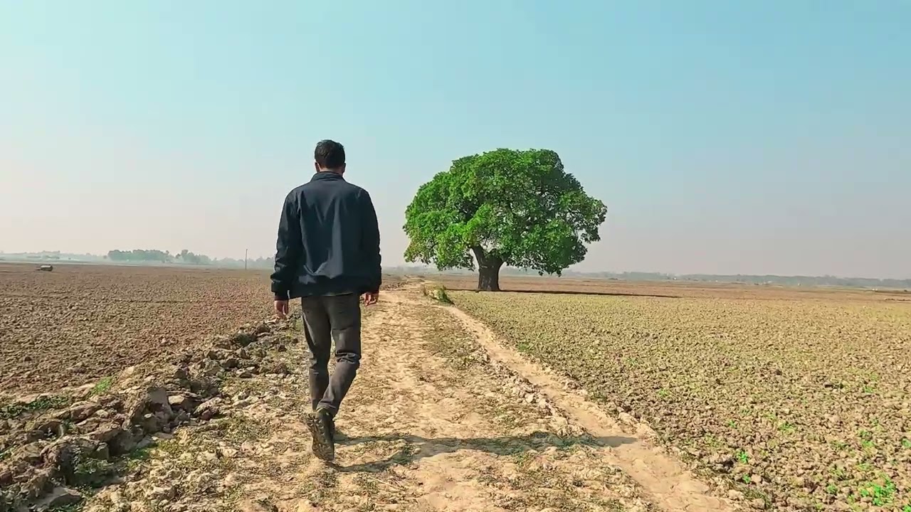 Homeland