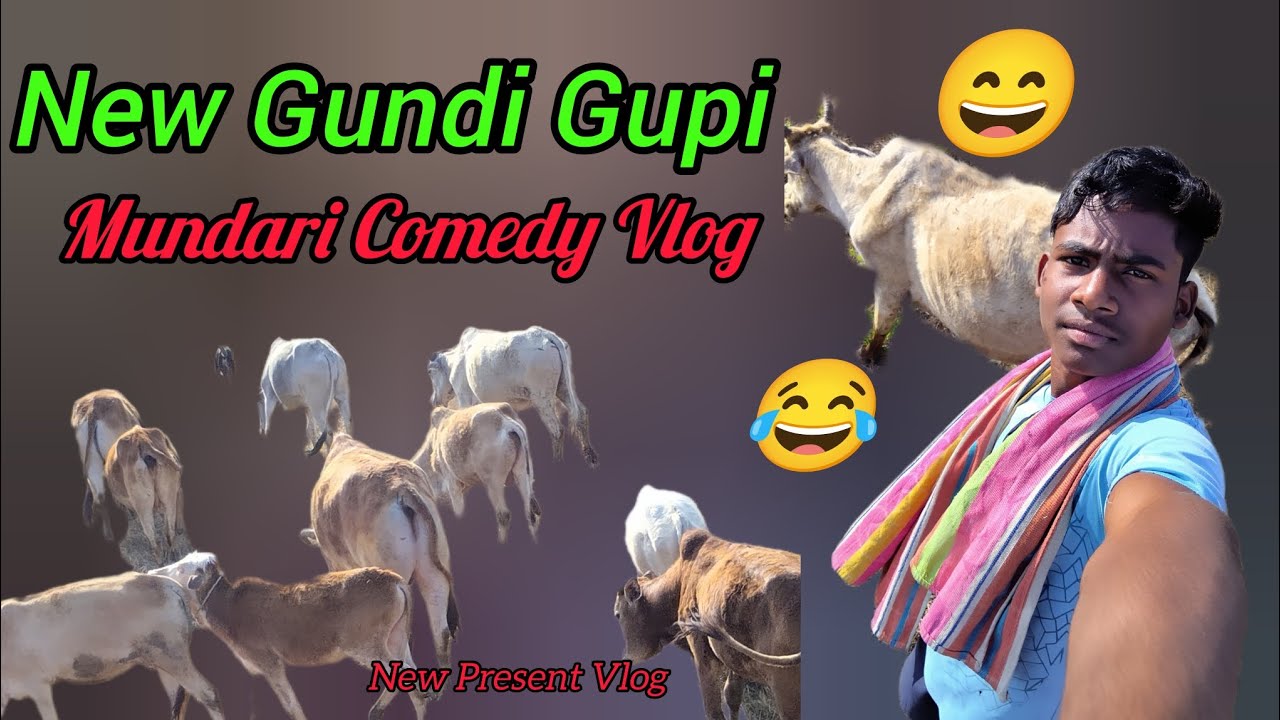 New Gundi Gupi Mundari Comedy Vlog#video  #newmundacomedy #comedy #funny #vlog 