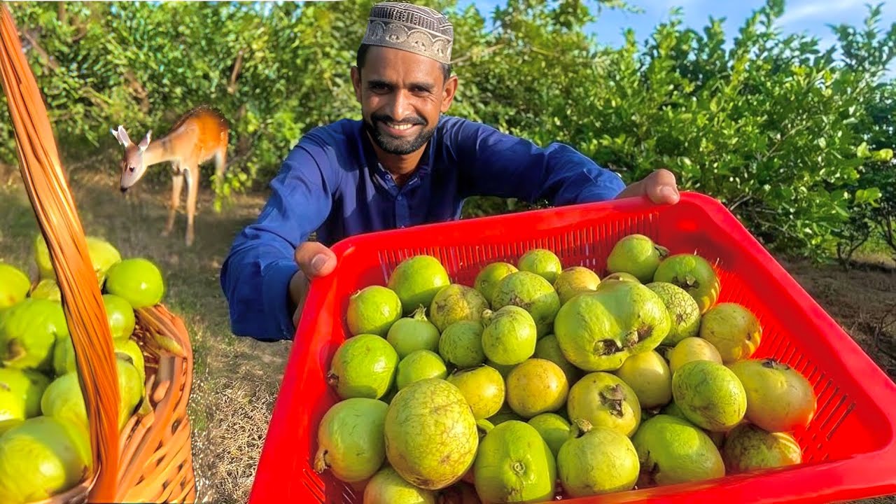 Alhamdulillah Our Garden Fresh Fruits 🍈