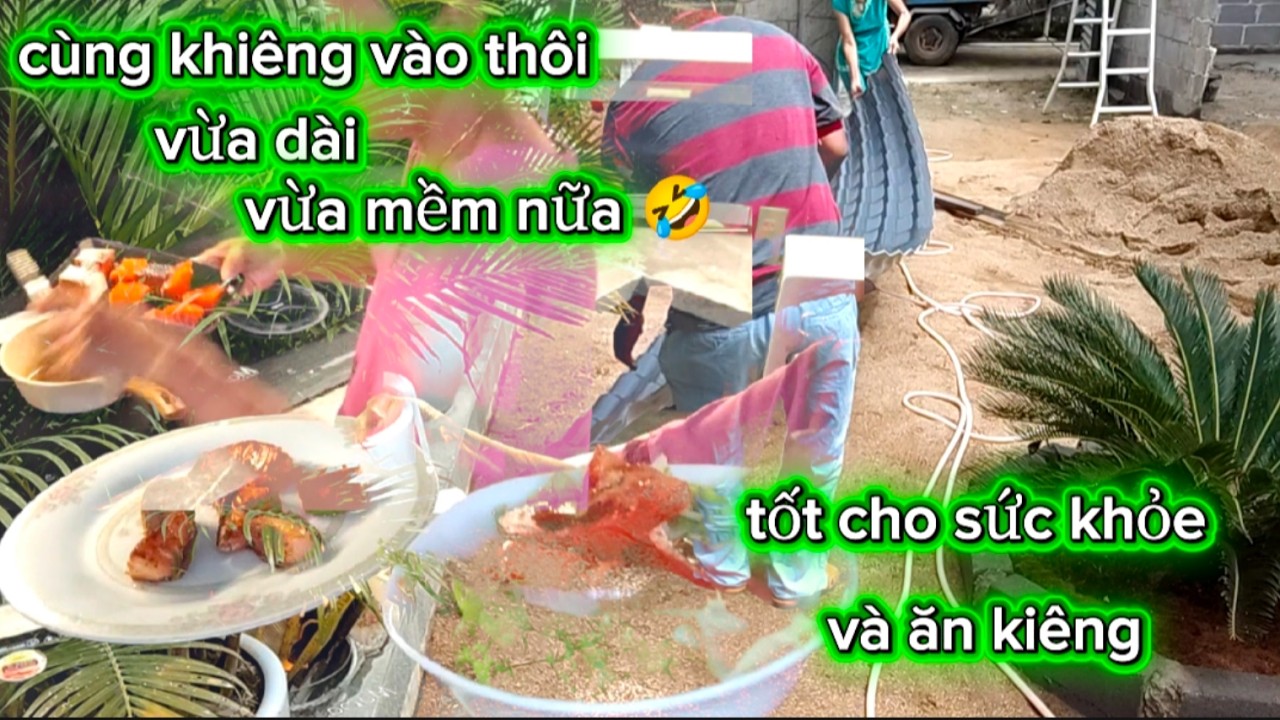 Vợ chồng Việt Đức:)#299# đặt tấm lợp giả ngói/ cách áp chảo cá hồi và làm salad trộn giấm táo đen