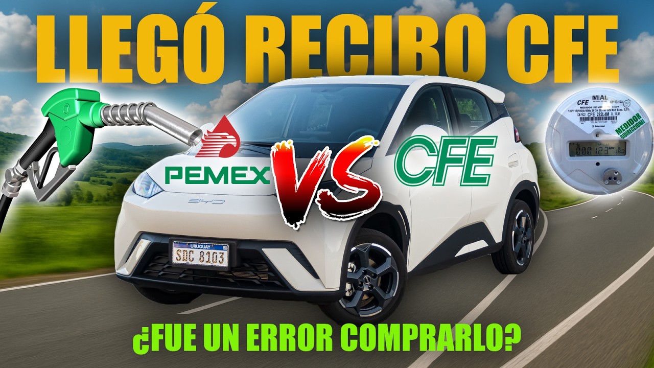 ⚡ Primer recibo CFE tras comprar Dolphin Mini | Resultados reales
