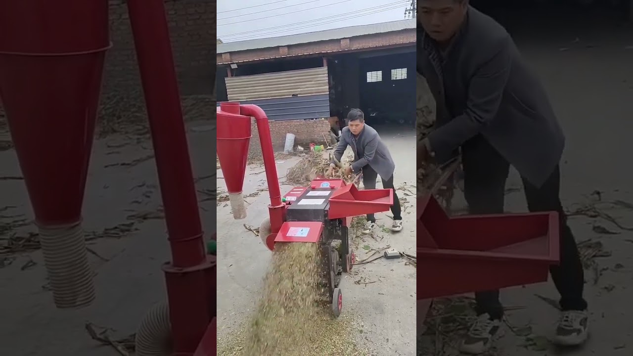 ZRF-4.8 Chaff Cutter for Dry Hay & Green Straw+ Grain Mill + Cyclone for Animal Fodder Make