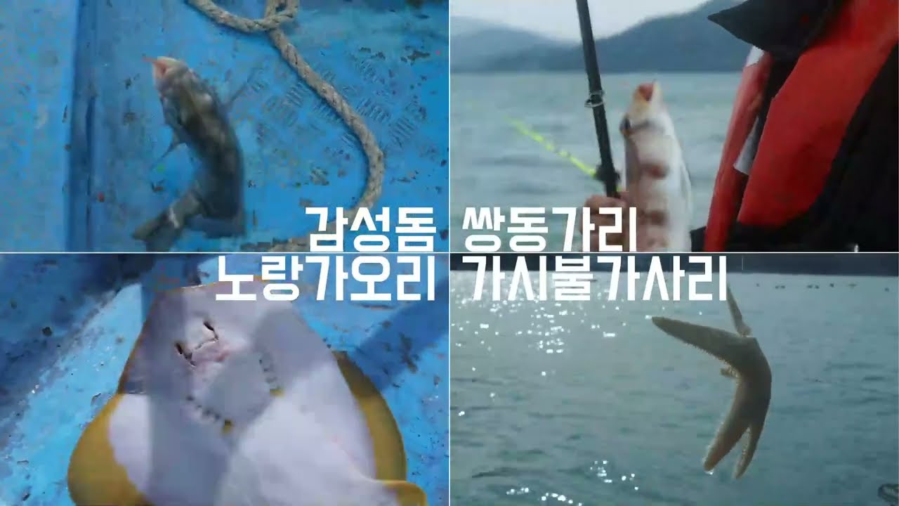[영상] 강진 - 마량항 낚시
