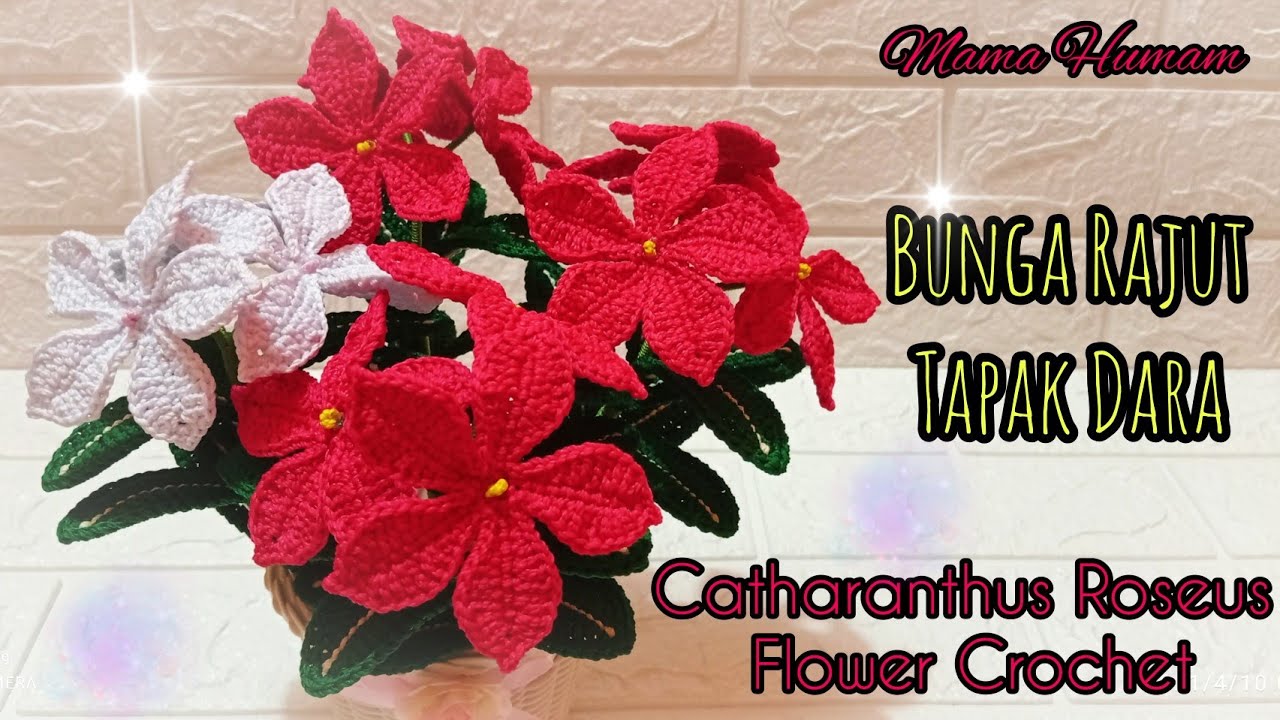 Как сделать и связать тапак дара / цветы барвинка || Цветок Catharanthus Roseus, связанный крючком.