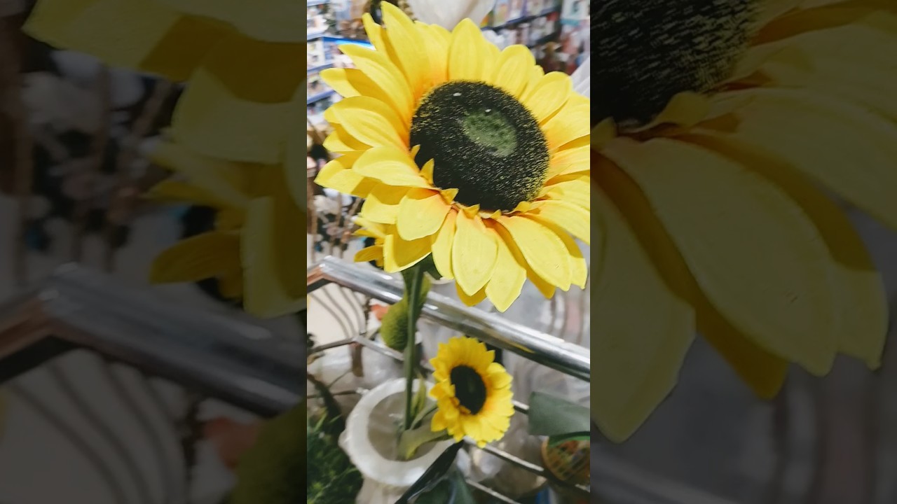 Beautiful flowers 🌻