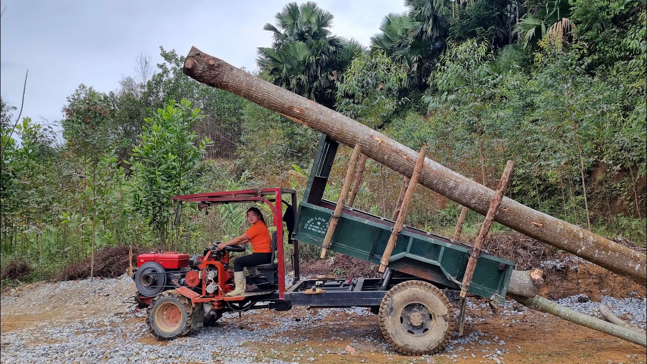 Full video: 65 Days of using trucks to transport firewood, wood, and fruit