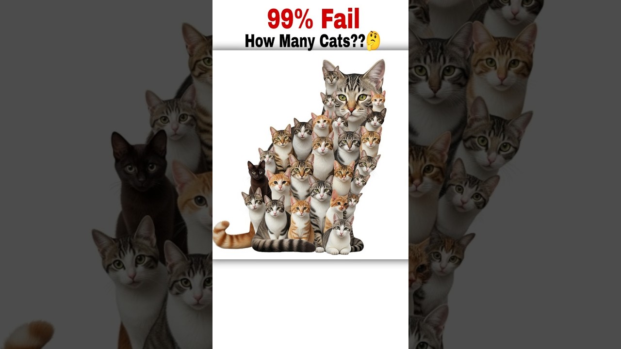 🔴 99% Wrong 🤯 | Prove that you are a Genius 🥴 How Many Cats You See??🤔