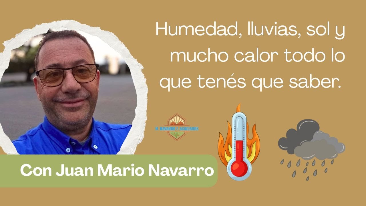 ¿CÓMO VA SER EL VERANO EN EL CONO SUR? LLUVIAS SOL Y TEMPERATURAS ALTAS