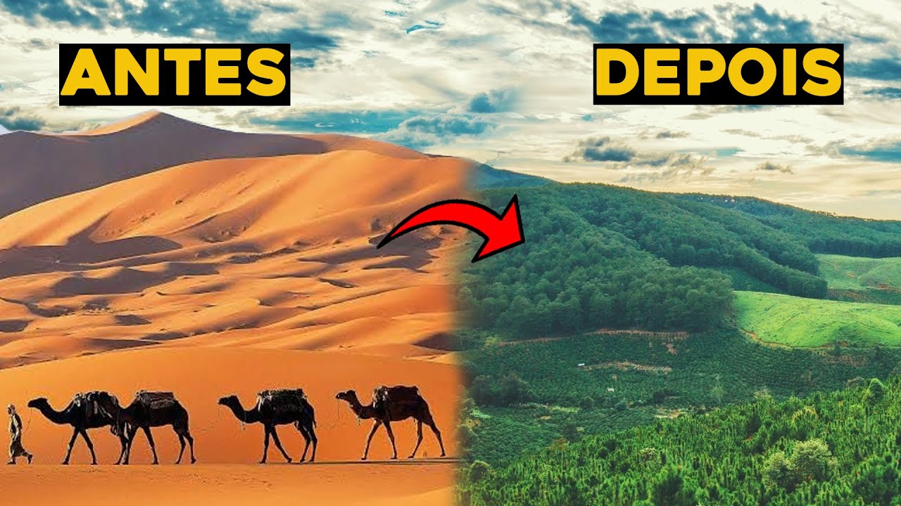 COMO A CHINA TRANSFORMOU ESSE DESERTO EM UMA FLORESTA?