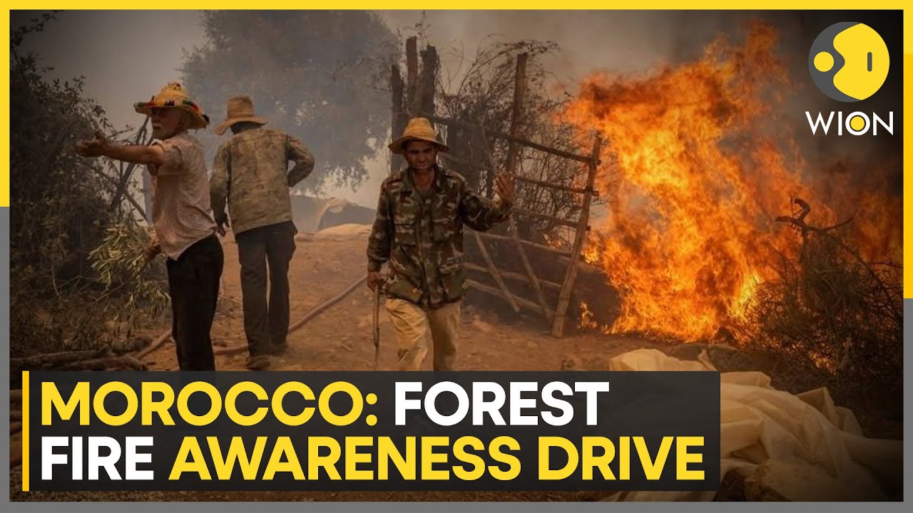 Morocco's increasing forest fire risk, outdoor cooking increasing forest risk | World News | WION