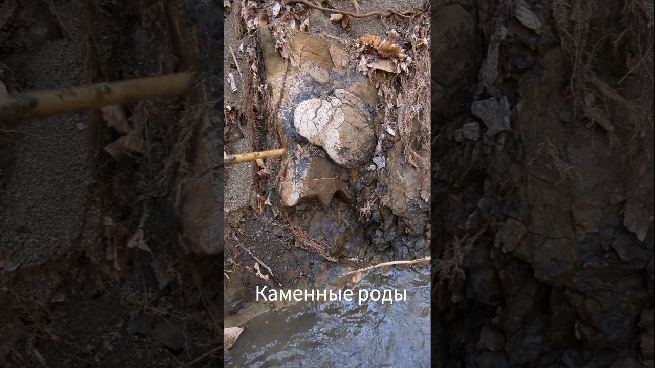 Редкое природное явление- процесс отпочкования септарии.У меня засвидетельствовано три таких явления