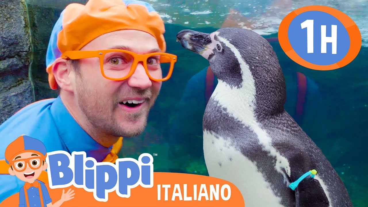 Blippi e i suoi amici pinguini allo zoo! | Blippi in Italiano | Video educativi per bambini