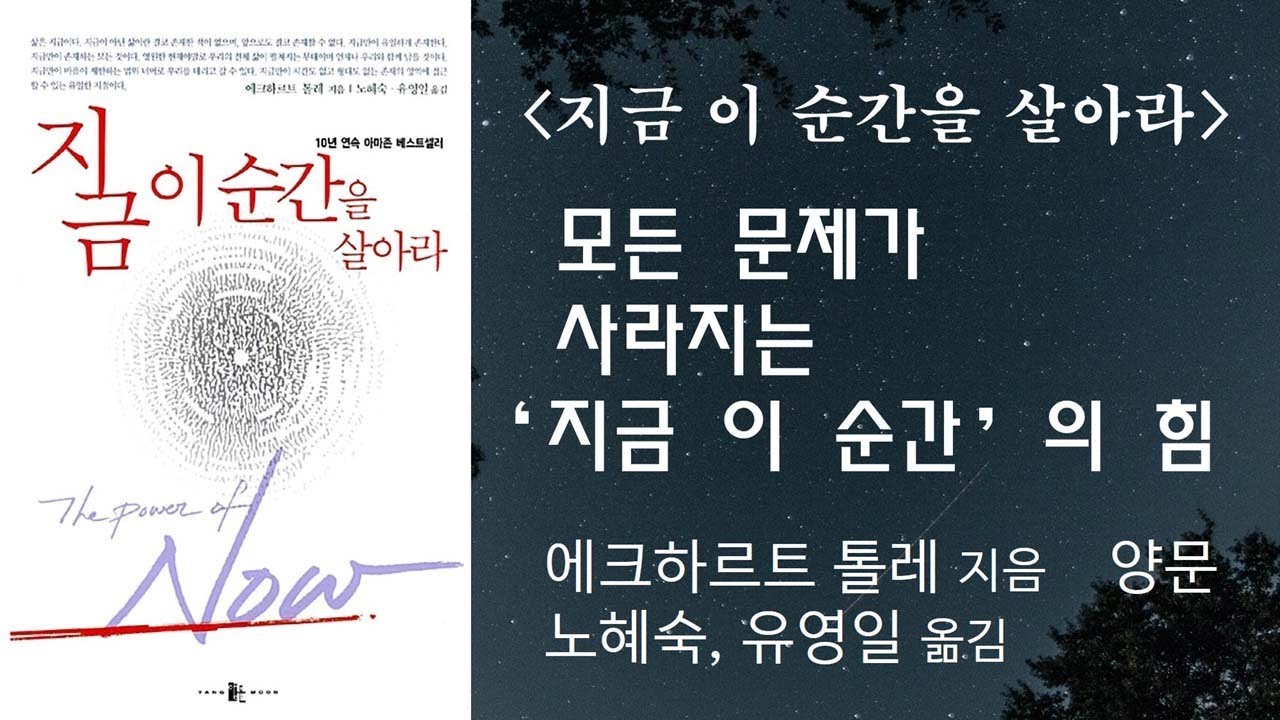 모든 문제가 사라지는 '지금 이 순간'의 힘 [지금 이 순간을 살아라]