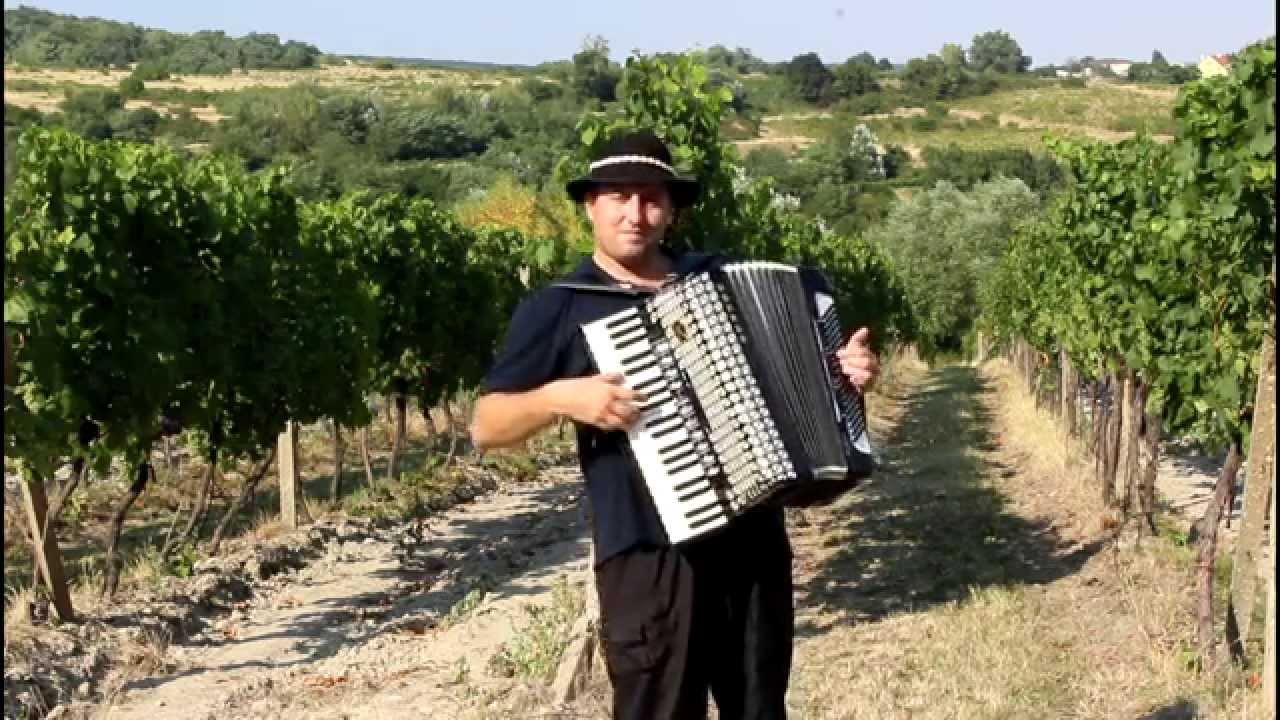 Spievajúca harmonika – mix známych ľudoviek – part 1