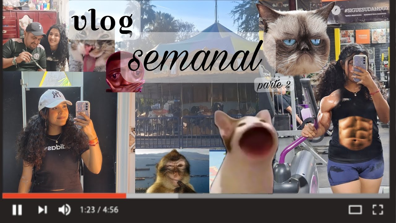 Vlog-  1 semana conmigo- parte 2:)))))