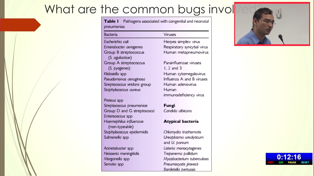 Neonatal Pneumonia: Dr Neeraj Gupta