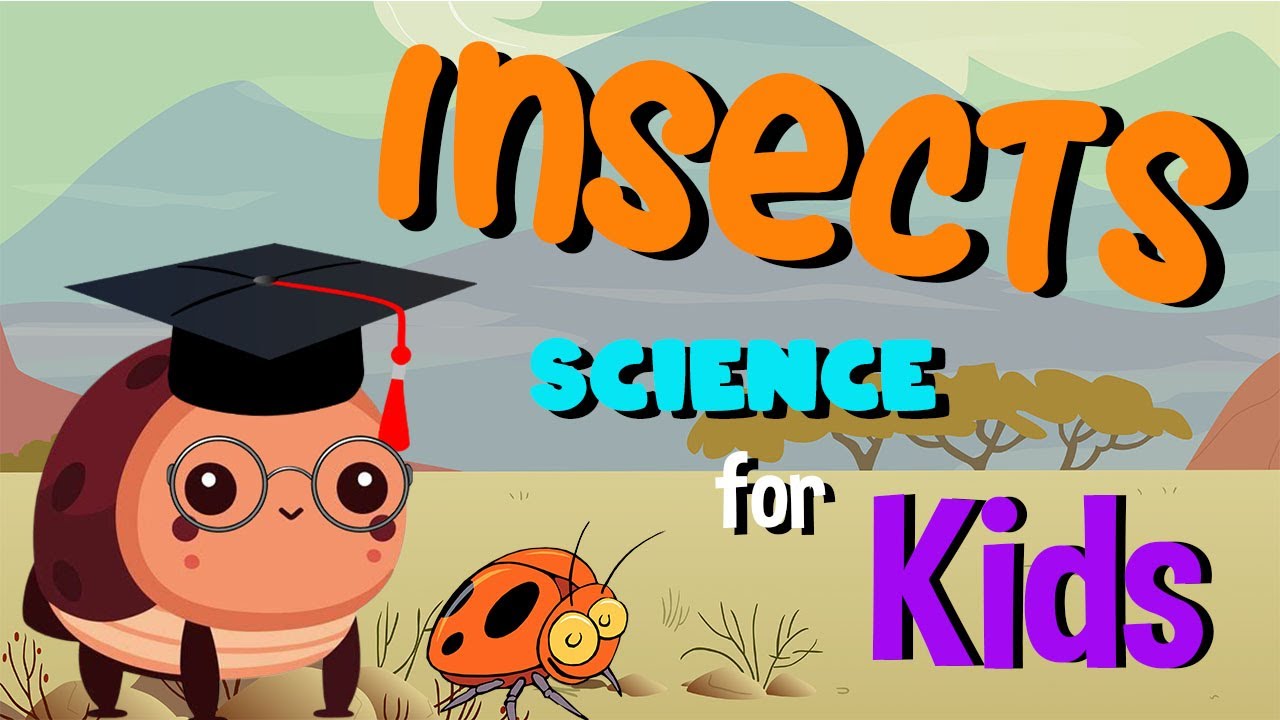 Insects | Science for Kids