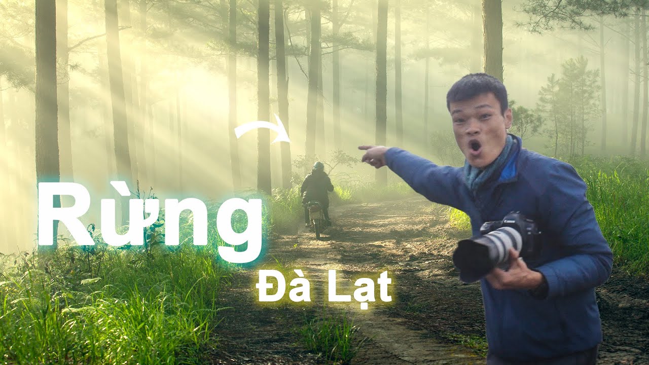 Nhiếp Ảnh Phong Cảnh | Chụp Ảnh Tia Nắng Trong Rừng | Tập 7