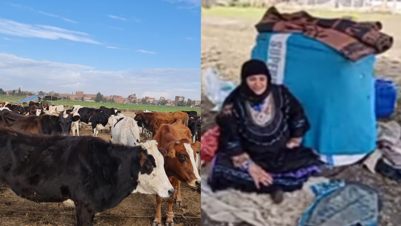 أكتر حاجه بيخافو منها العرب بالليل مغامرات في حياة العرب يشيب منها شعر الرأس