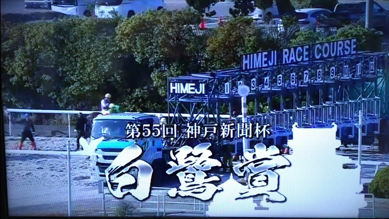 2026/3/12 姫路競馬11R 第55回白鷺賞(重賞)【7連勝中ジグラート、古豪ラッキードリーム、若武者小谷哲平はヘラルドバローズと初コンビ　昨年覇者オディロンは昨日ダイオライト記念制覇】