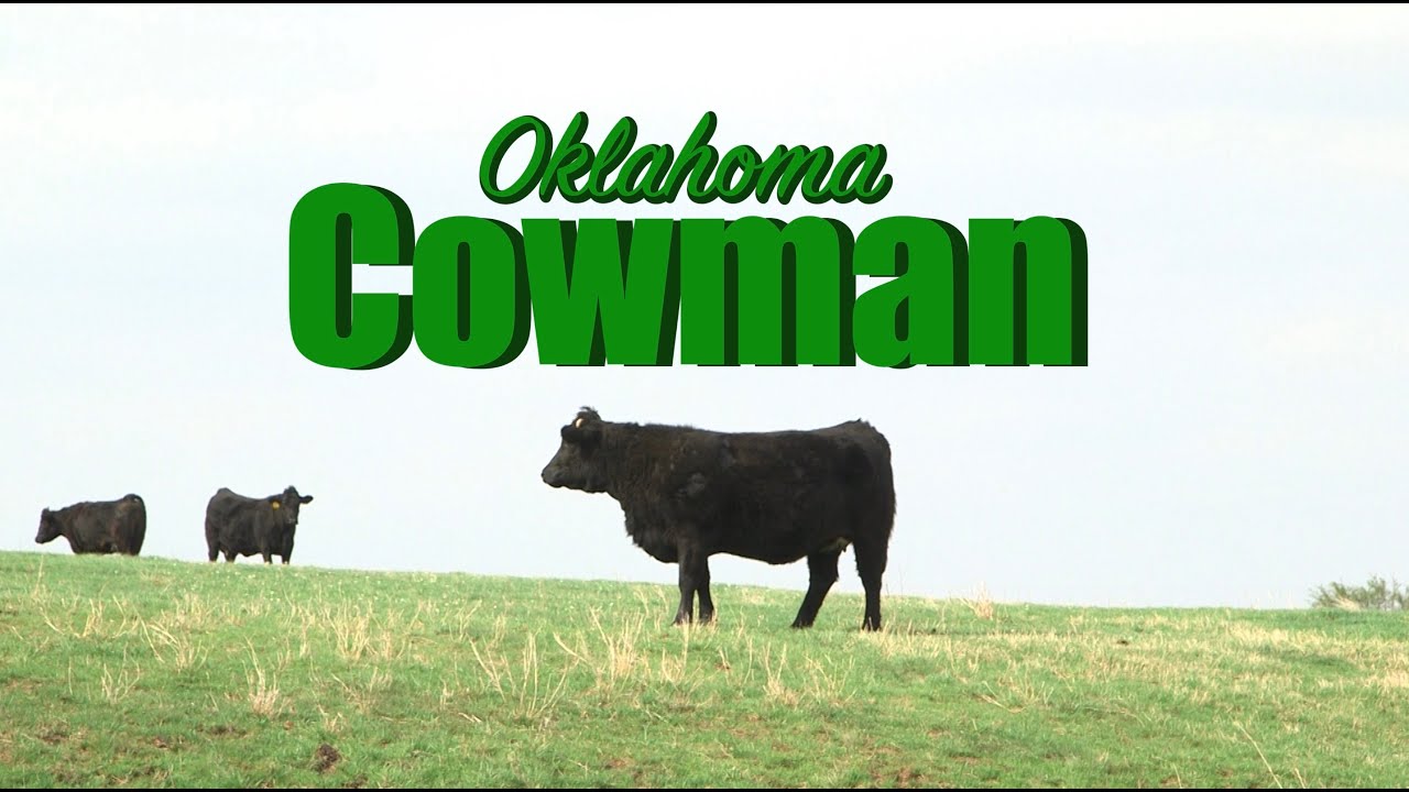 Oklahoma Cowman