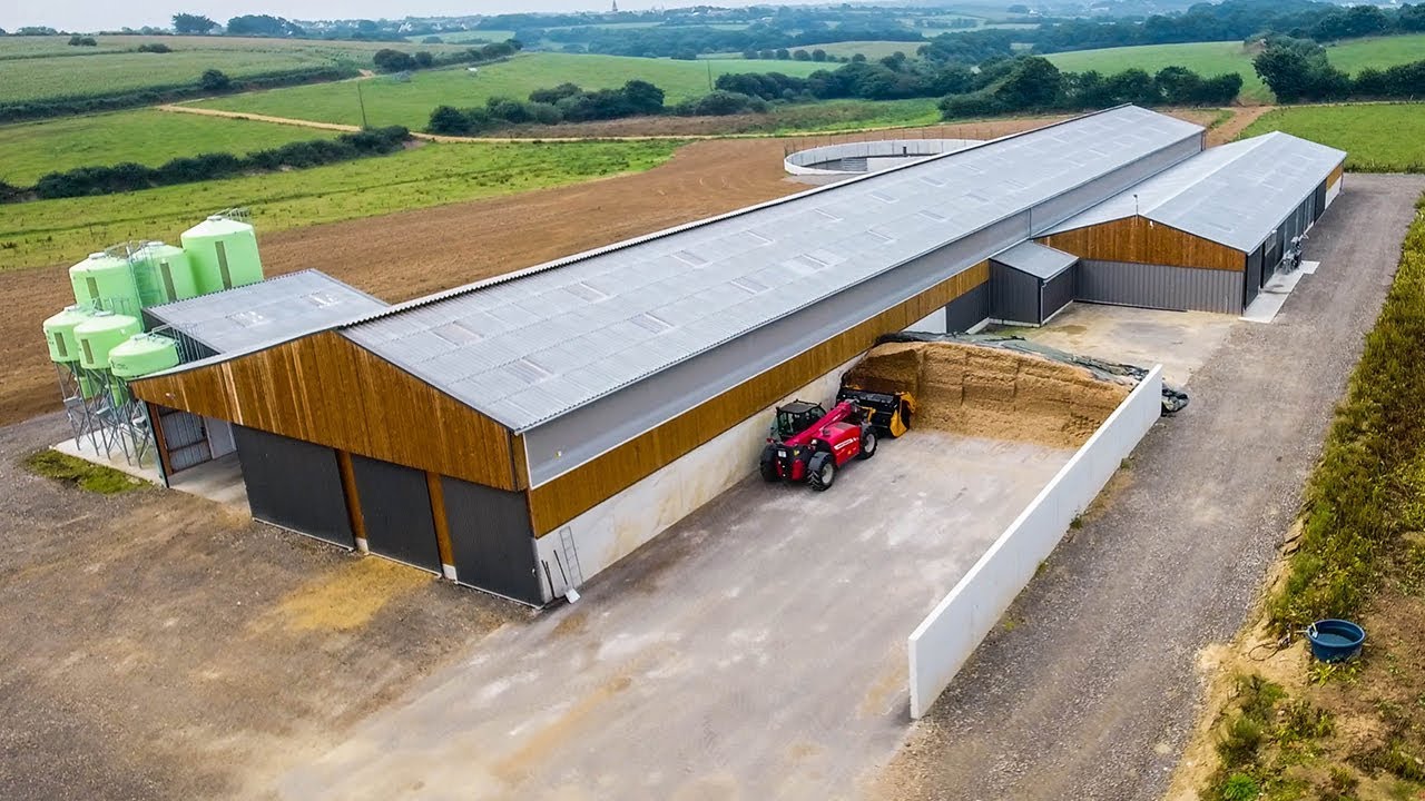 Alimentation des vaches laitières !