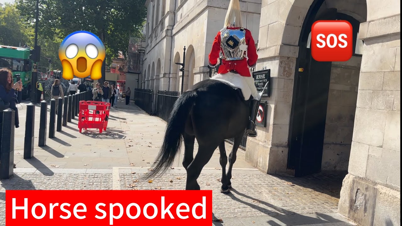 Horse Spooked at Horse Guards – Police Rush to Secure the Area!