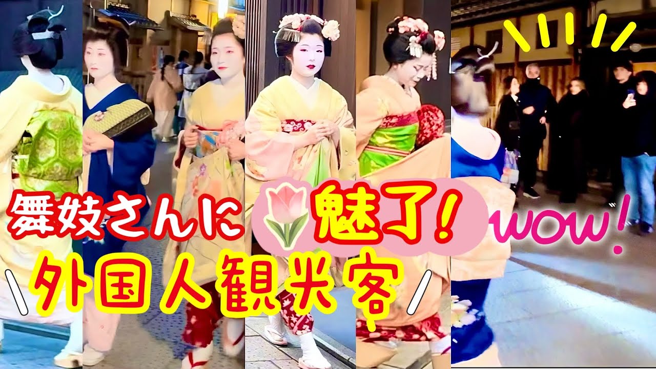 外国人観光客が、舞妓さんに魅了された！舞妓さんが通るたびに、皆のハートがキュン！京都祇園。Foreign tourists were fascinated by Maiko!