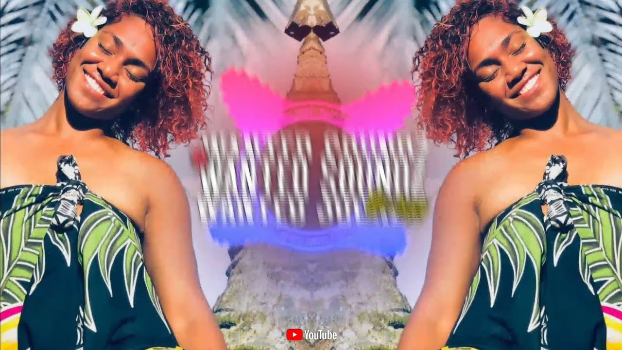 Controller RemiiX [ Wanted Soundz ] 2024
