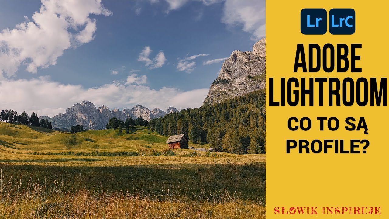 Co to są profile kolorystyczne? Nauka Adobe Lightroom