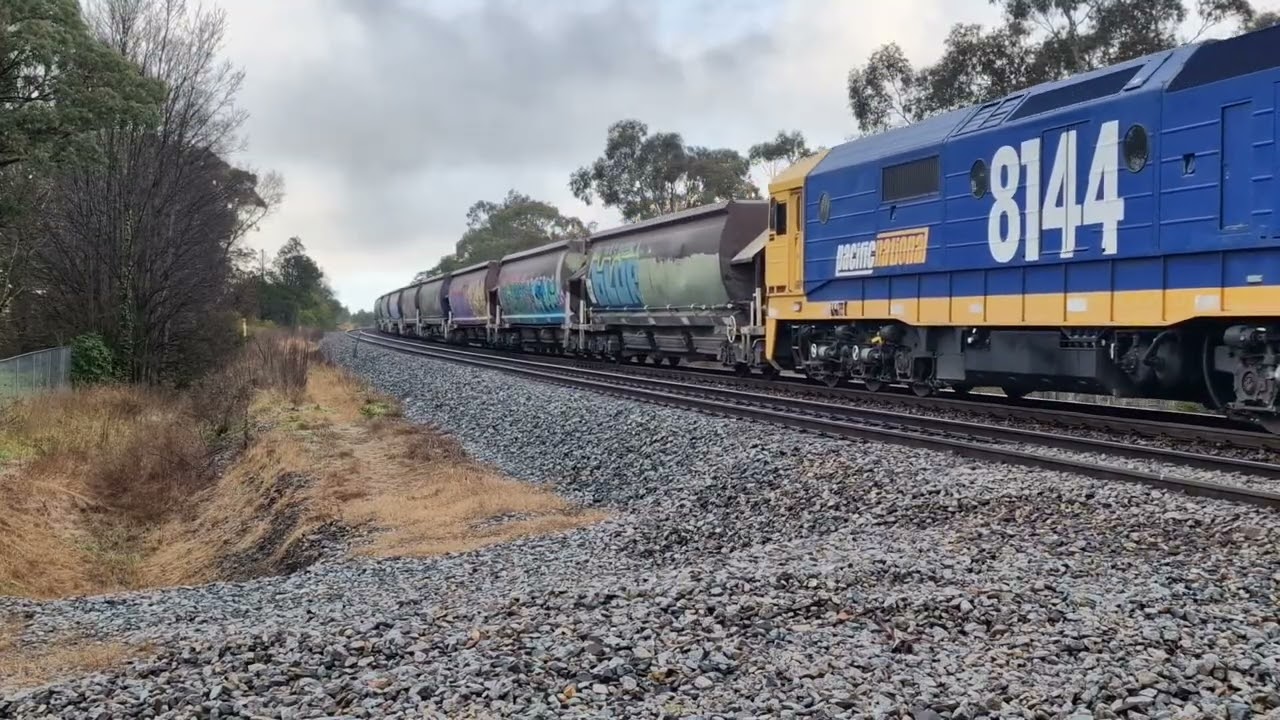 A Morning at Moss Vale