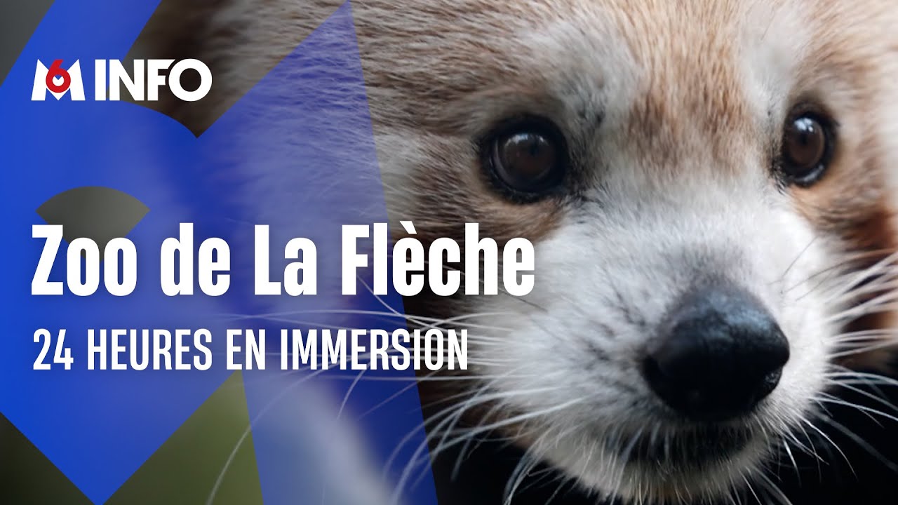 24 heures avec les vétos du Zoo de La Flèche dans la Sarthe