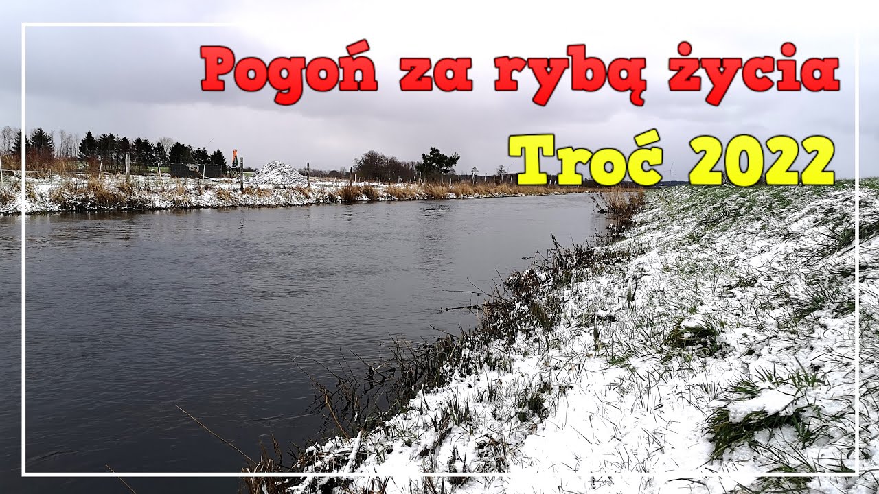 Troć 2022 / Pogoń za rybą życia / Zima / Wędkarstwo rzeczne /