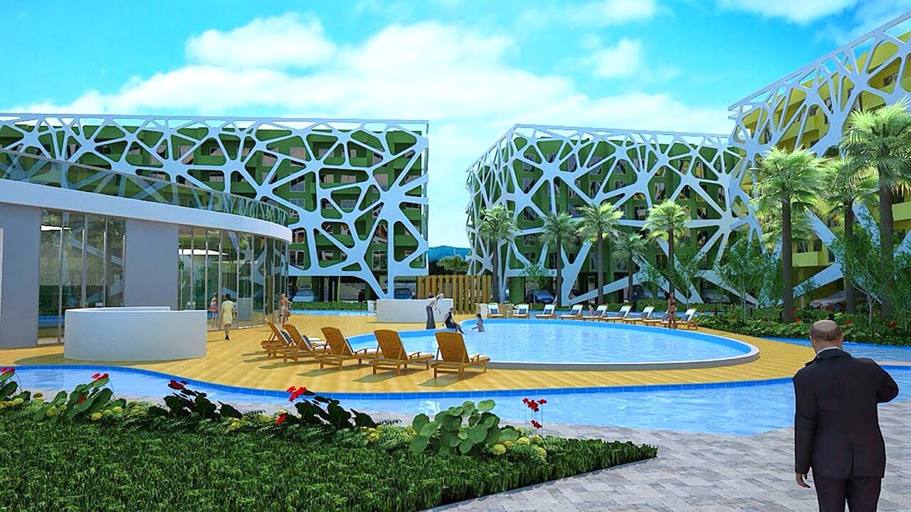 Urban Hive Palms