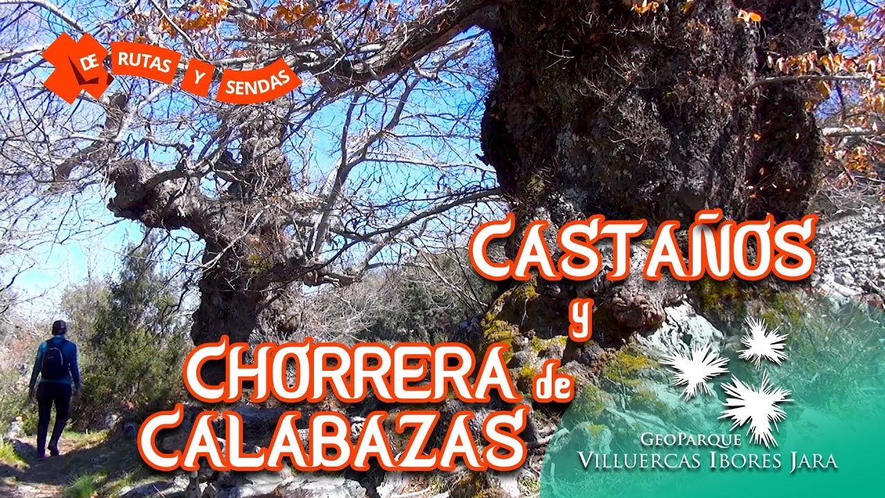 CASTAÑOS y CHORRERA de CALABAZAS